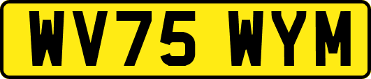 WV75WYM