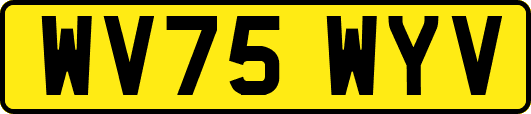 WV75WYV
