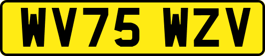 WV75WZV