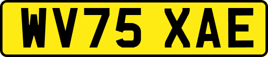 WV75XAE