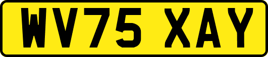 WV75XAY