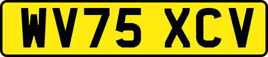 WV75XCV