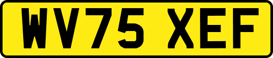 WV75XEF