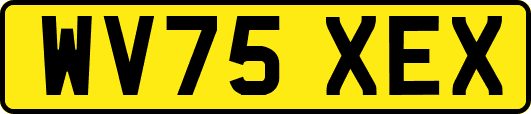 WV75XEX