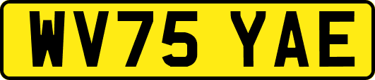 WV75YAE