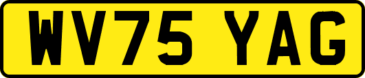 WV75YAG