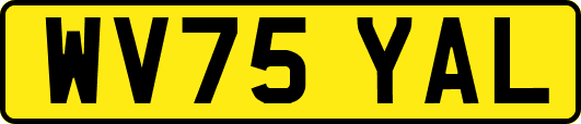 WV75YAL