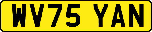 WV75YAN