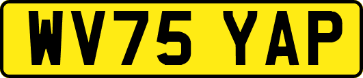 WV75YAP