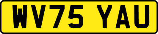 WV75YAU
