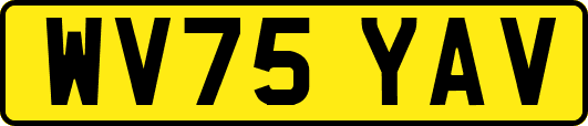 WV75YAV
