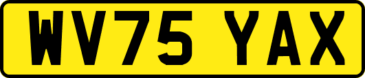 WV75YAX