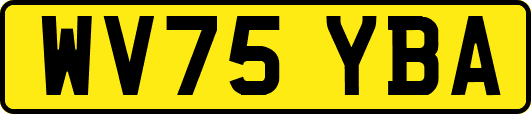 WV75YBA