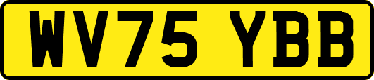 WV75YBB