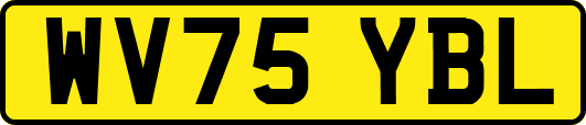 WV75YBL
