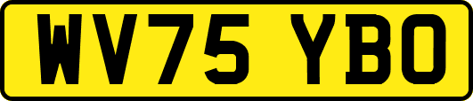 WV75YBO