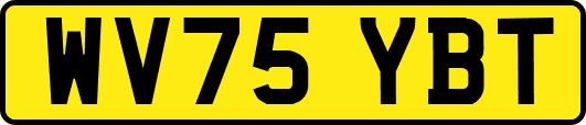 WV75YBT