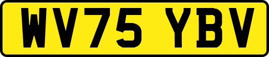 WV75YBV