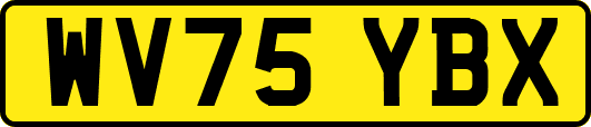 WV75YBX