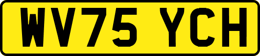 WV75YCH
