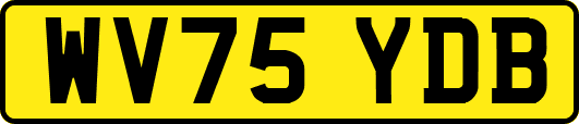 WV75YDB