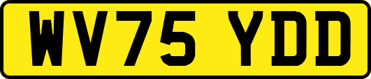 WV75YDD