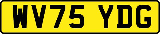WV75YDG