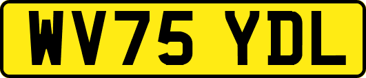 WV75YDL