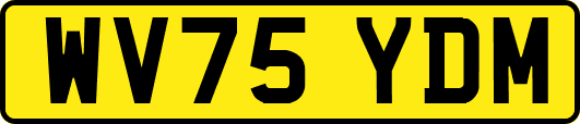 WV75YDM