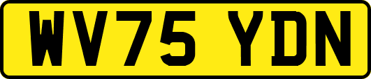 WV75YDN