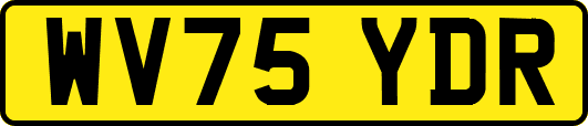 WV75YDR
