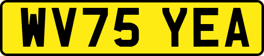 WV75YEA