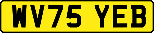 WV75YEB