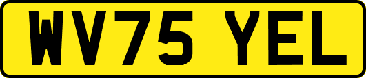 WV75YEL
