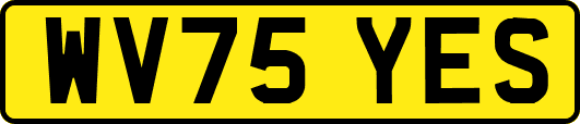 WV75YES