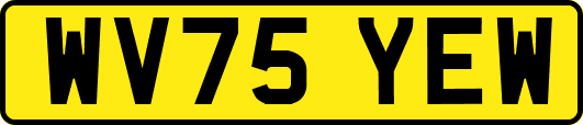WV75YEW