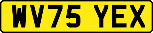 WV75YEX