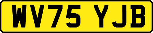 WV75YJB