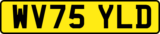 WV75YLD