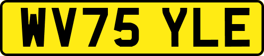 WV75YLE