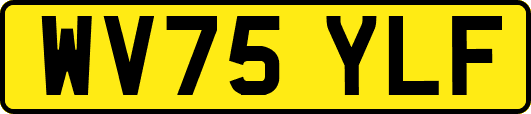 WV75YLF