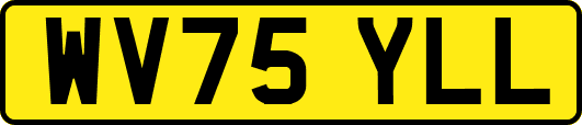 WV75YLL