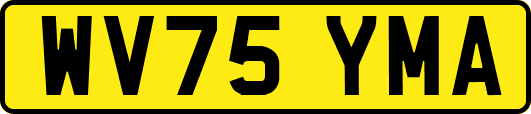 WV75YMA