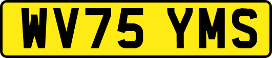 WV75YMS