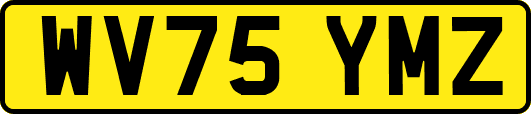 WV75YMZ