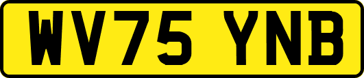 WV75YNB