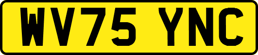 WV75YNC