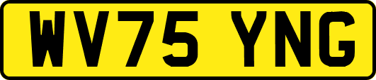 WV75YNG