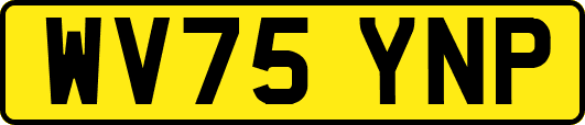 WV75YNP