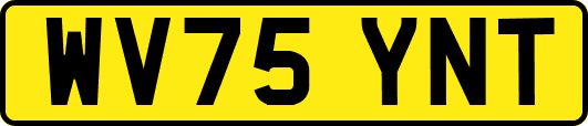 WV75YNT